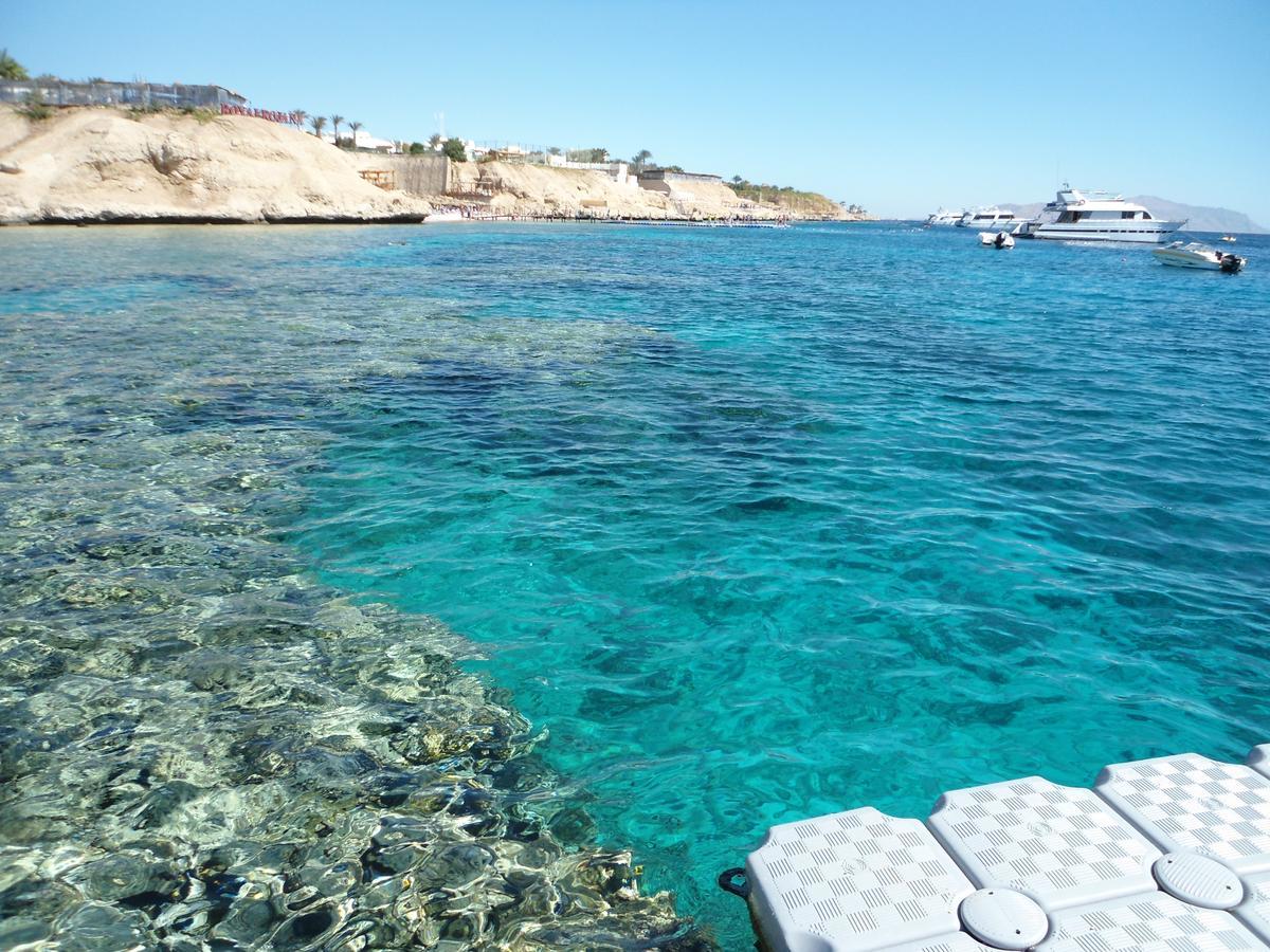 Sharks Bay Oasis Apartment Sharm El Sheikk Exterior foto