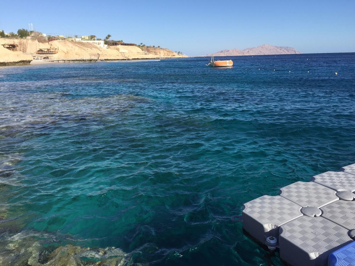 Sharks Bay Oasis Apartment Sharm El Sheikk Exterior foto